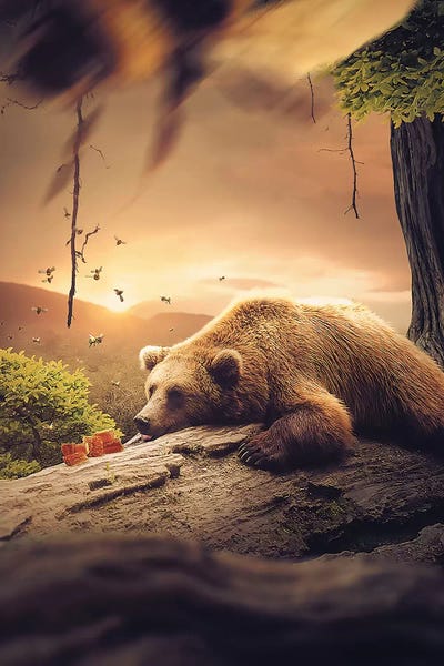 Bear Honey by Zenja Gammer acrylic art print