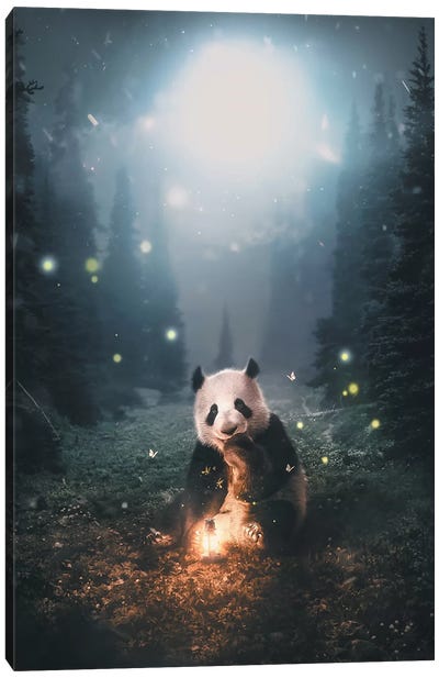 Panda Forest Canvas Art Print - Zenja Gammer