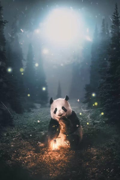 Pandas: Panda Forest by Zenja Gammer