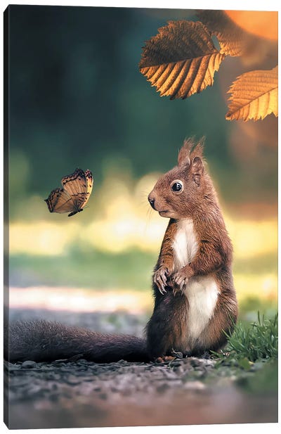 Squirrel Butterfly Canvas Art Print