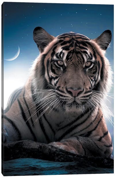 Tiger Moon Canvas Art Print