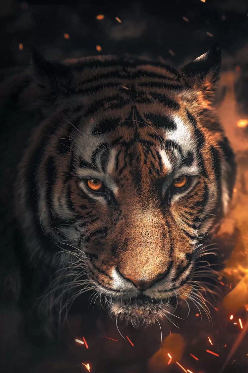 Tiger Sparkles by Zenja Gammer wall art