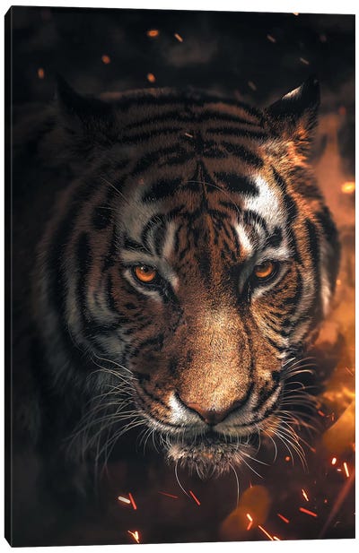 Tiger Sparkles Canvas Art Print - Zenja Gammer