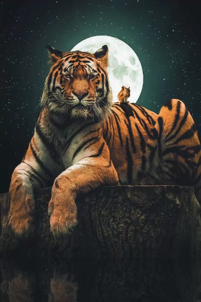 Rodents: Tiger Squirrel by Zenja Gammer