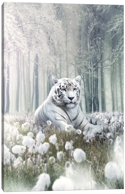 White Lion Flowers Canvas Art Print - Zenja Gammer