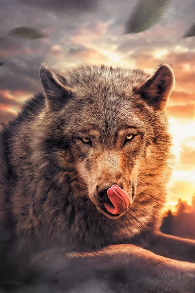 Wolves: Wolf by Zenja Gammer