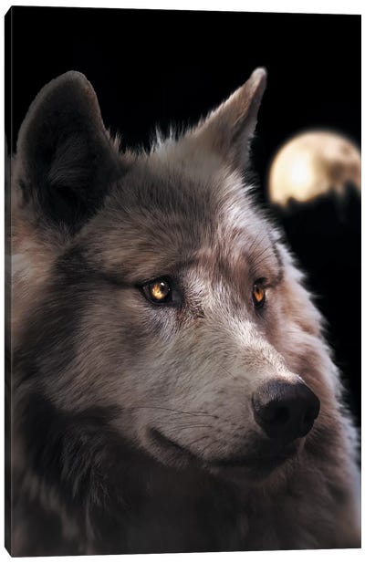 Wolf Moon Canvas Art Print - Zenja Gammer