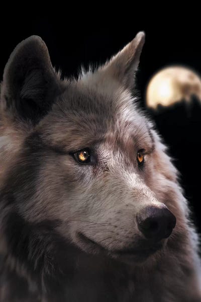 Wolves: Wolf Moon by Zenja Gammer