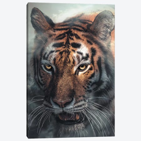 Tiger Canvas Print #ZGA61} by Zenja Gammer Canvas Wall Art