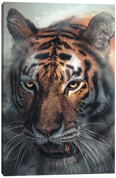 Tiger Canvas Art Print - Zenja Gammer