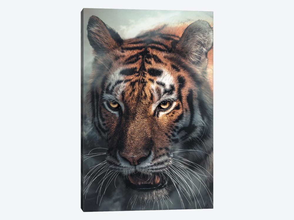 Tiger by Zenja Gammer 1-piece Canvas Wall Art