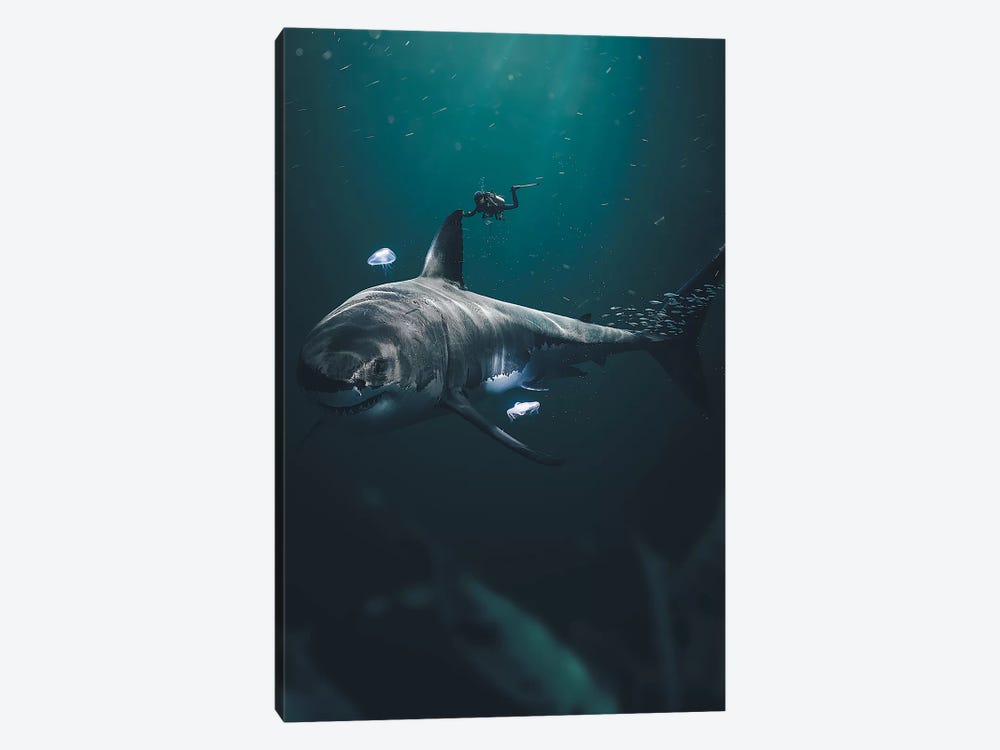 The Megalodon by Zenja Gammer 1-piece Art Print