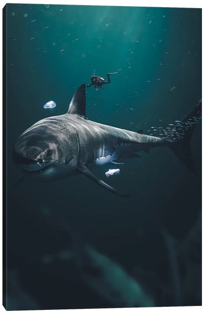 The Megalodon Canvas Art Print - Shark Art