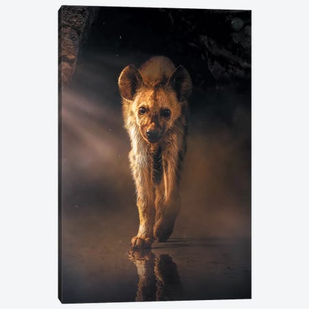 The Lonely Hyena Canvas Print #ZGA63} by Zenja Gammer Canvas Artwork