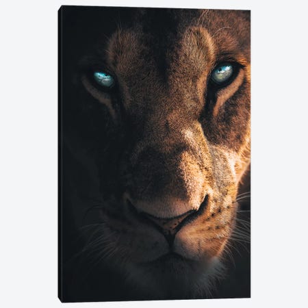 The Mysterious Creature Canvas Print #ZGA67} by Zenja Gammer Canvas Print