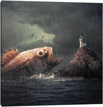 Big Fish Canvas Art Print - Zenja Gammer