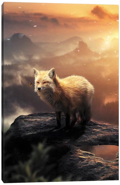 The Fox On The Mountain Canvas Art Print - Zenja Gammer