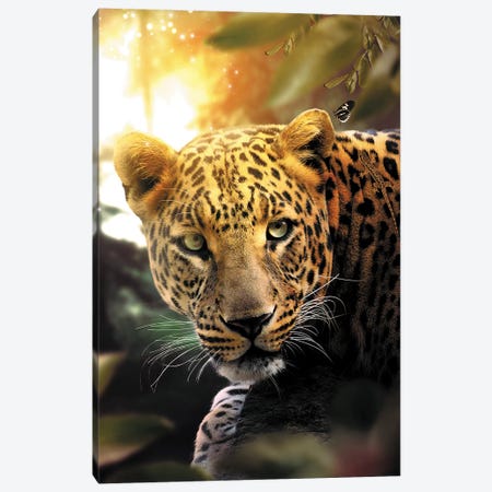 The Leopard & Butterfly Canvas Print #ZGA74} by Zenja Gammer Canvas Art