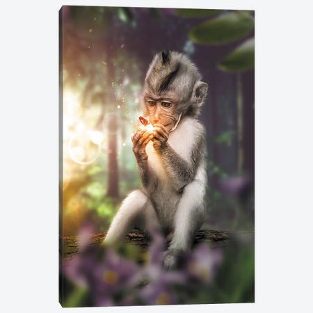 The Monkey & Butterfly Canvas Print #ZGA75} by Zenja Gammer Canvas Wall Art