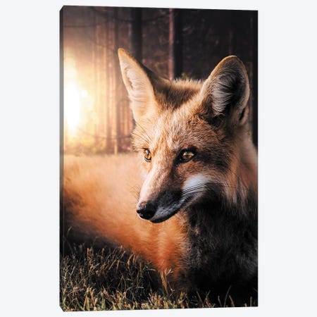 The Fox In The Forest Canvas Print #ZGA76} by Zenja Gammer Canvas Art