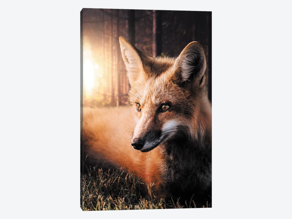 The Fox In The Forest by Zenja Gammer 1-piece Canvas Wall Art