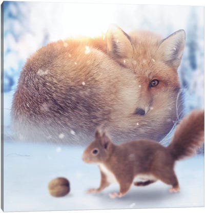 The Fox & Squirrel Canvas Art Print - Zenja Gammer