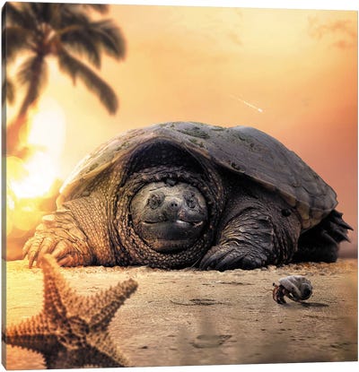 Tortoise Canvas Art Print - Gentle Giants