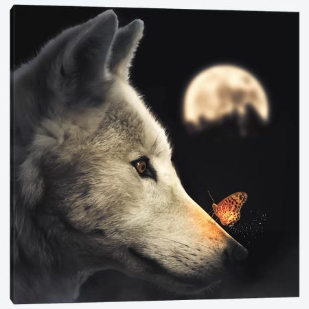 The Wolf & Glowing Butterfly Canvas Print #ZGA79} by Zenja Gammer Art Print