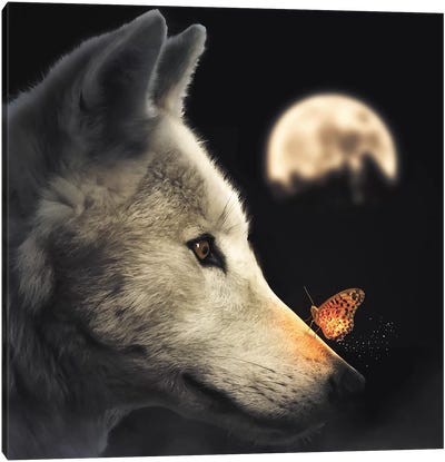 The Wolf & Glowing Butterfly Canvas Art Print - Zenja Gammer