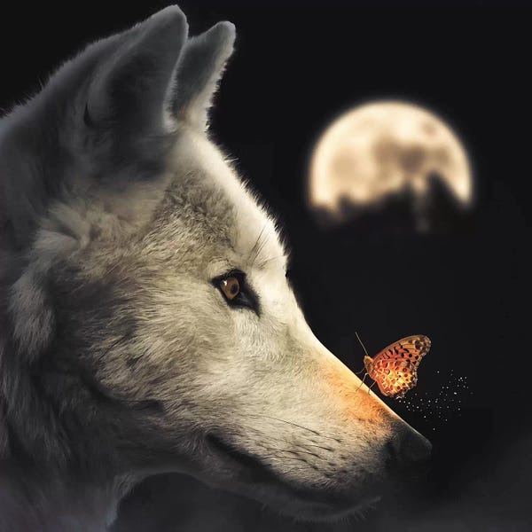 Wolves: The Wolf & Glowing Butterfly by Zenja Gammer