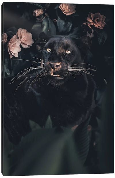 Black Panther Canvas Art Print - Zenja Gammer