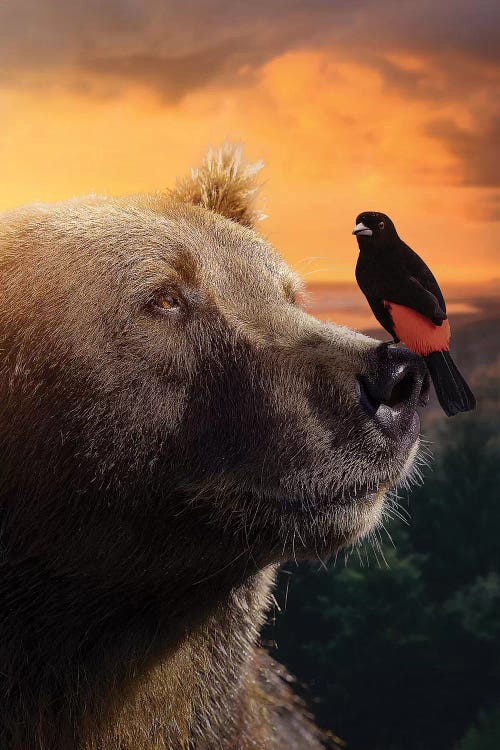 The Bear & Bird