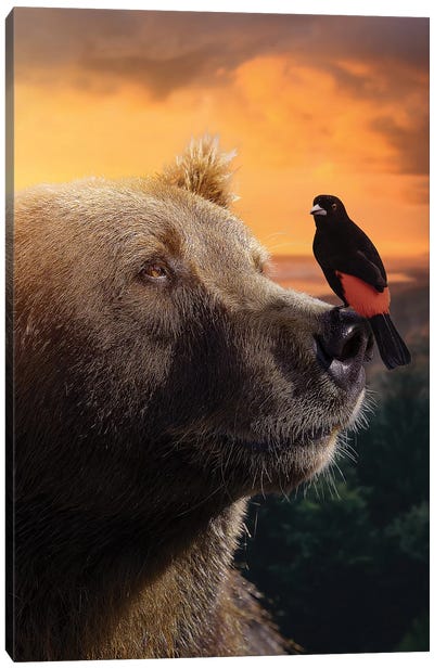 The Bear & Bird Canvas Art Print - Brown Bear Art