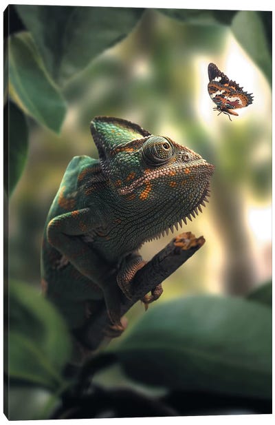 Chameleon Butterfly Canvas Art Print - Chameleons