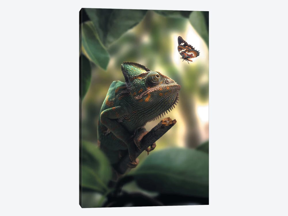 Chameleon Butterfly by Zenja Gammer 1-piece Canvas Artwork