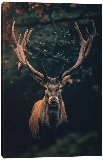 The Moody Deer Canvas Art Print - Zenja Gammer