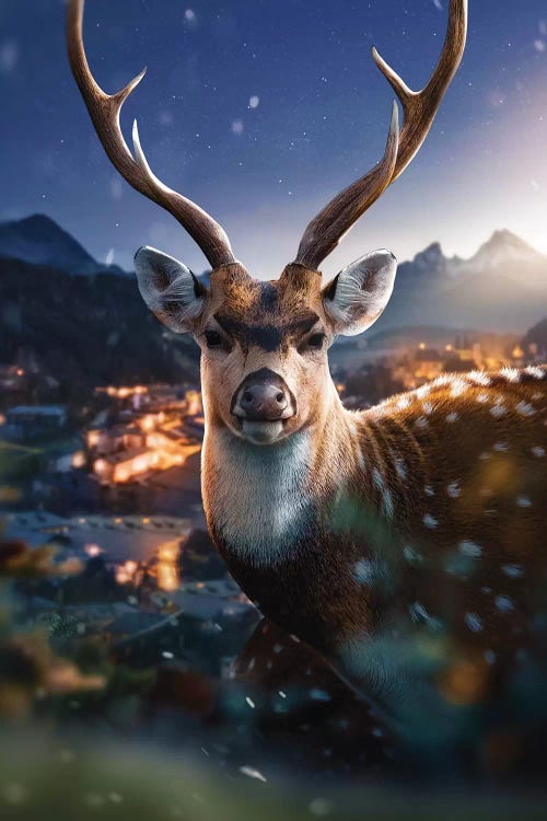 The Beautiful Deer