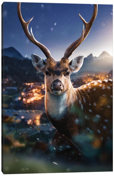 The Beautiful Deer Canvas Art Print - Zenja Gammer