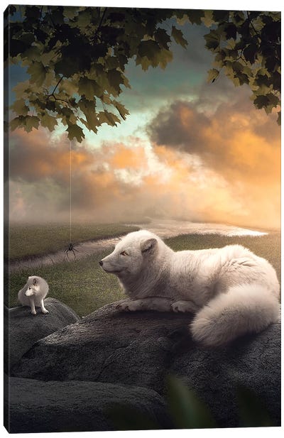 The Arctic Foxes Canvas Art Print - Zenja Gammer