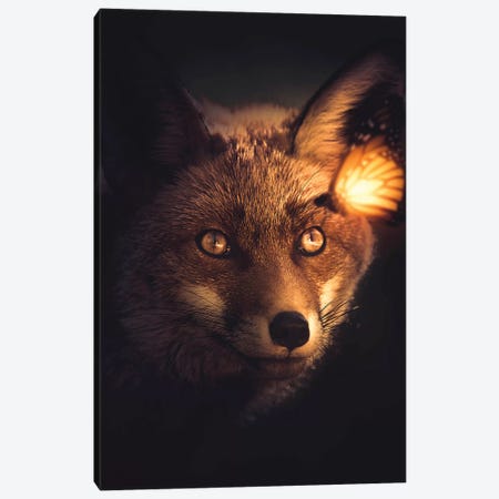 The Fox And Glowing Butterfly Canvas Print #ZGA95} by Zenja Gammer Canvas Artwork