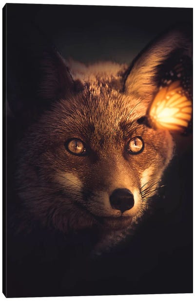 The Fox And Glowing Butterfly Canvas Art Print - Zenja Gammer