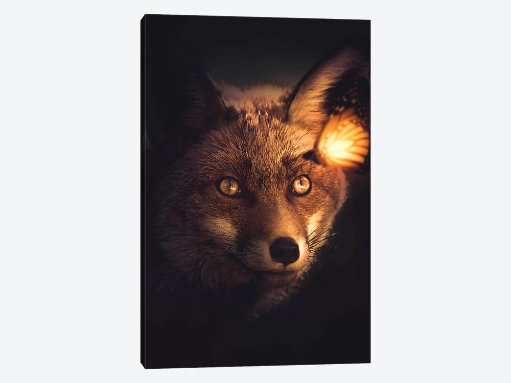The Fox And Glowing Butterfly by Zenja Gammer 1-piece Canvas Art Print