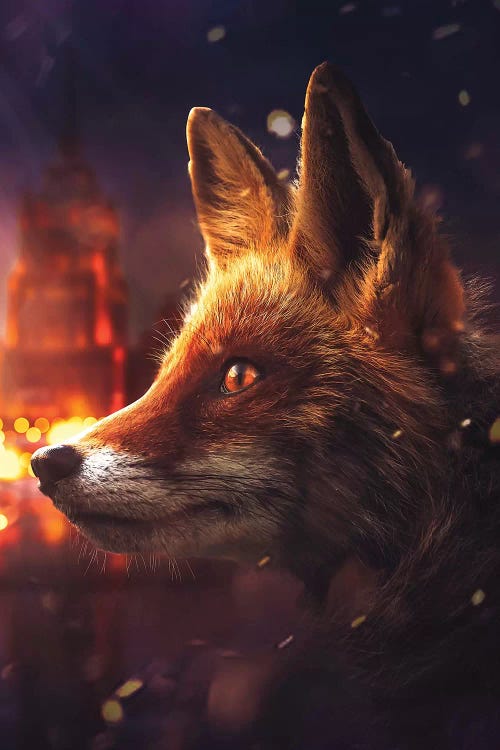 The Fox In Moscow