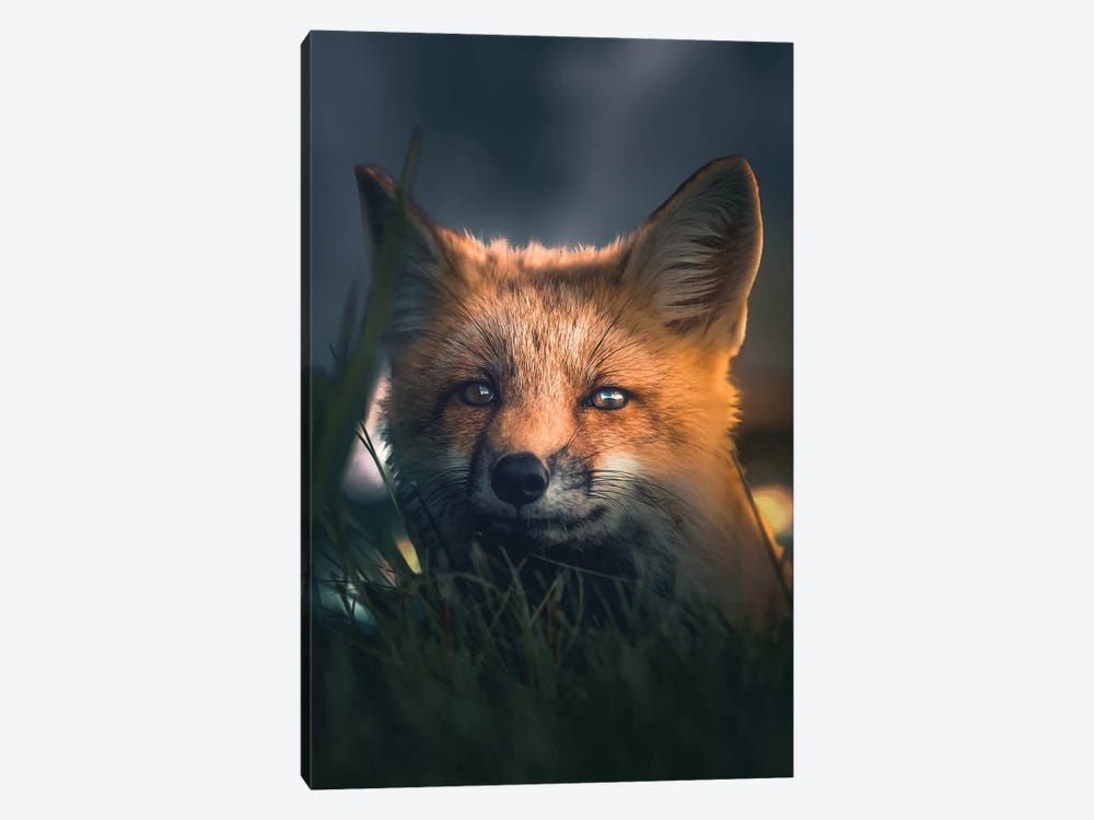 The Fox At Night by Zenja Gammer 1-piece Canvas Print