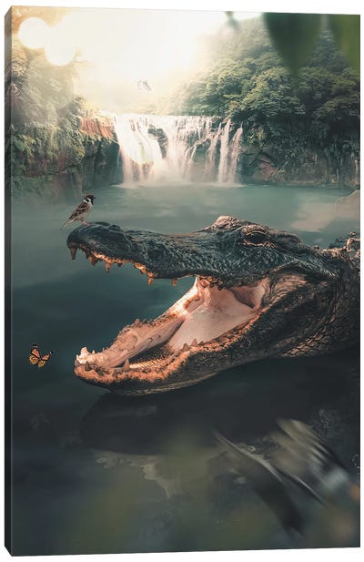 Crocodile Canvas Art Print - Zenja Gammer