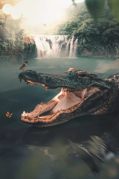Alligators & Crocodiles: Crocodile by Zenja Gammer