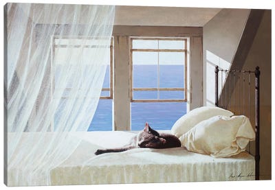 Nap Time Canvas Art Print - Coastal Living Room Art
