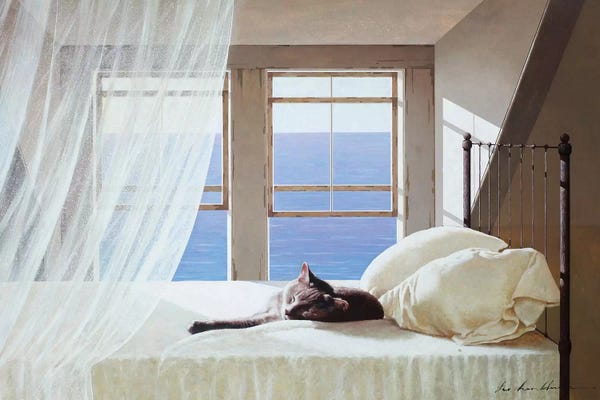 Black Cats: Nap Time by Zhen-Huan Lu