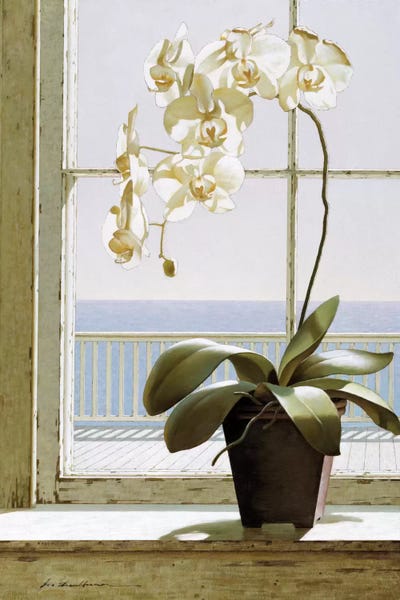 Photorealism: Flower In Window by Zhen-Huan Lu