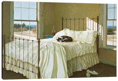 Lazy Afternoon Canvas Art Print - Sleeping & Napping
